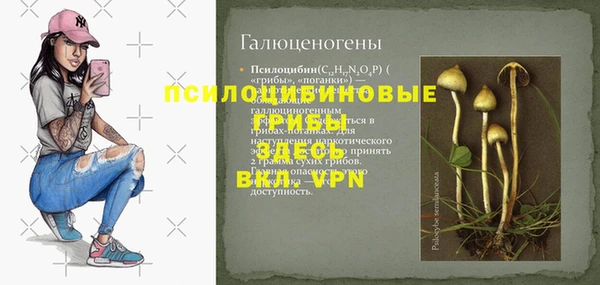 а пвп мука Верхний Тагил